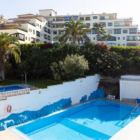 Live Pez Azul * Puerto de la Cruz (Tenerife)